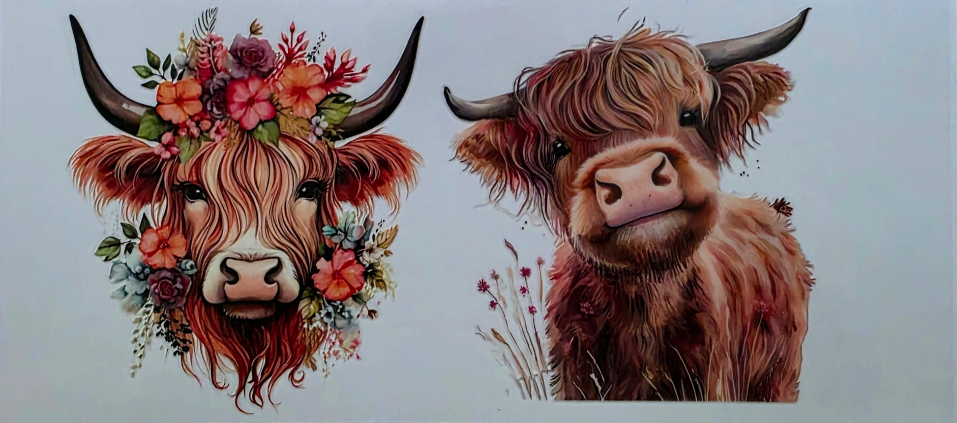 Two highland cows with floral decorations on a white background