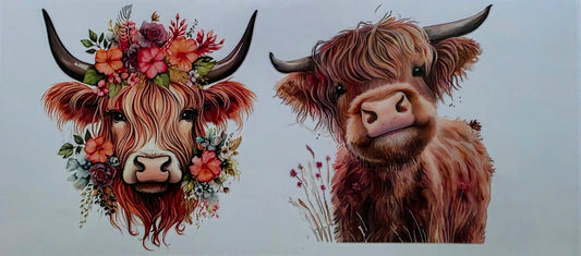 Two highland cows with floral decorations on a white background