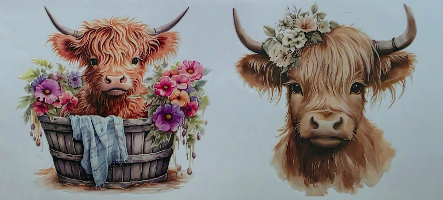 Two highland cow illustrations on a white background with a textured surface below.