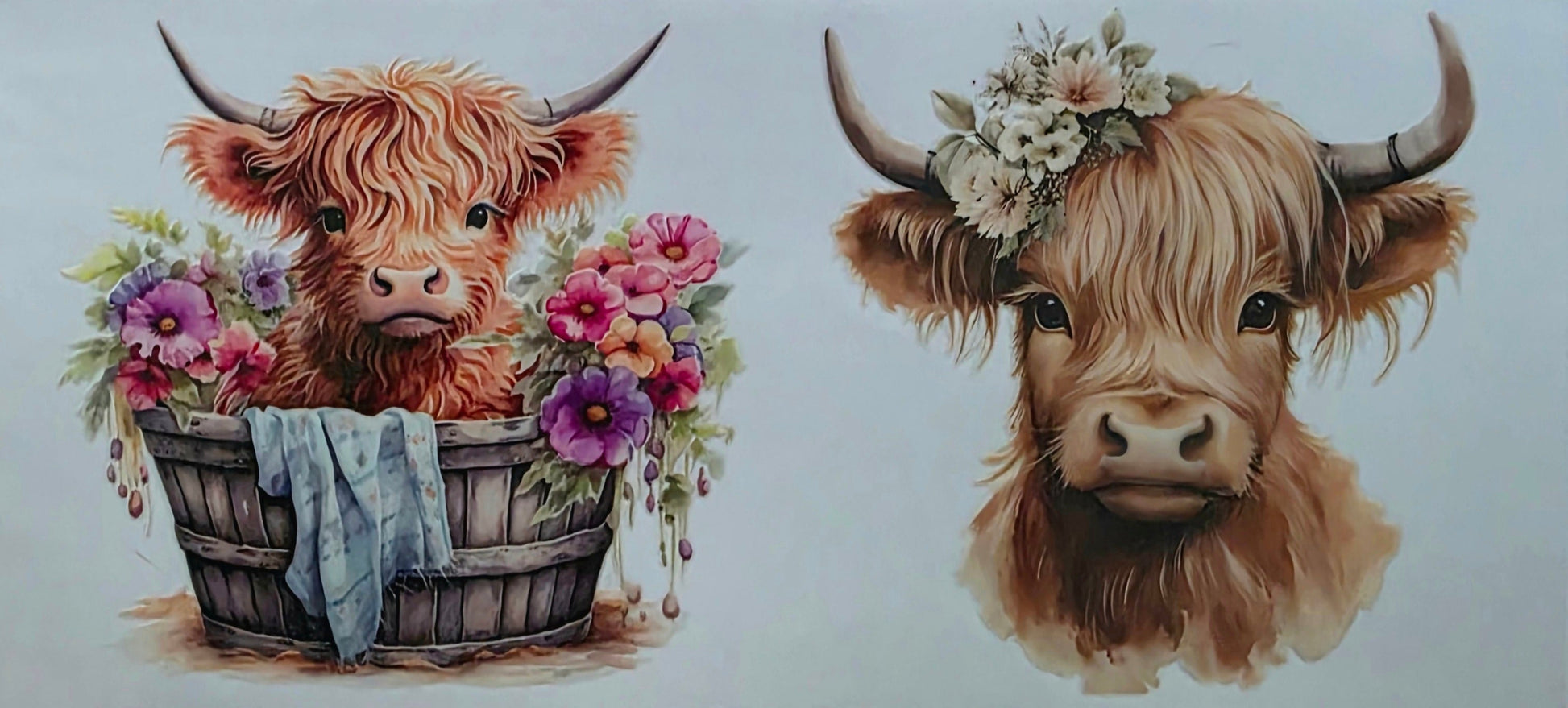 Two highland cow illustrations on a white background with a textured surface below.