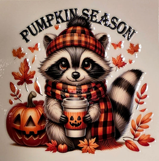 Illustration of a raccoon in fall attire with 'Pumpkin Season' text on a marble background.