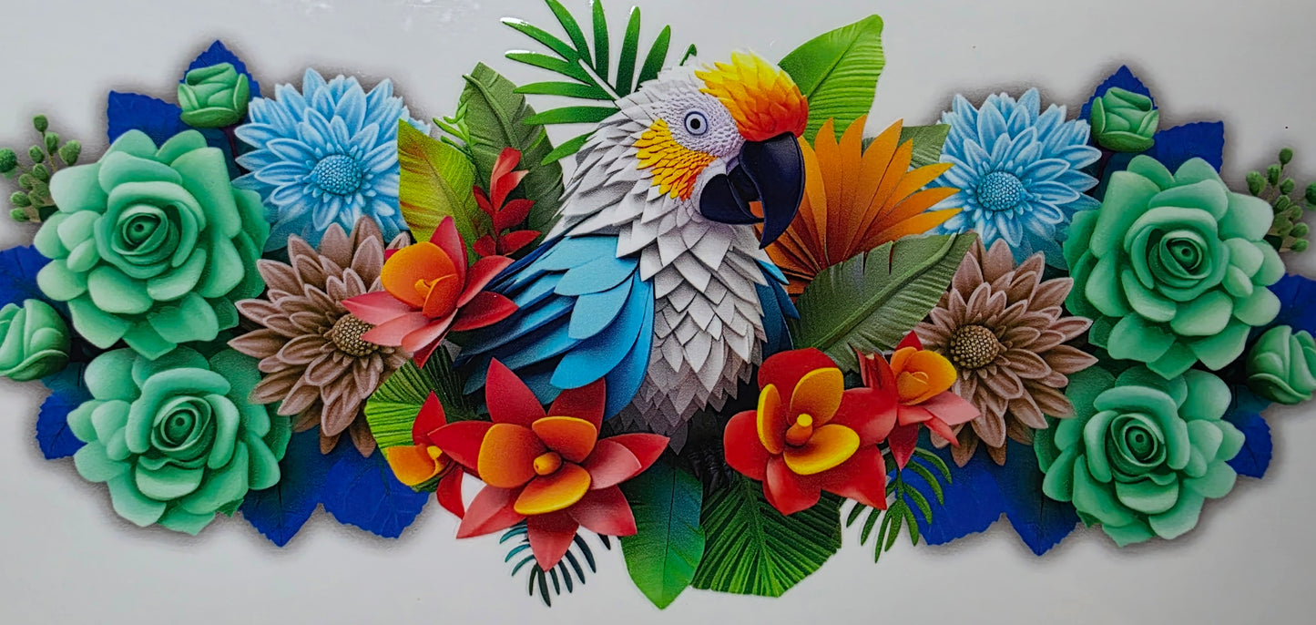 Animals