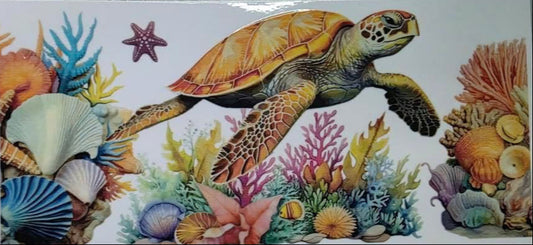 Ocean Creature Wraps