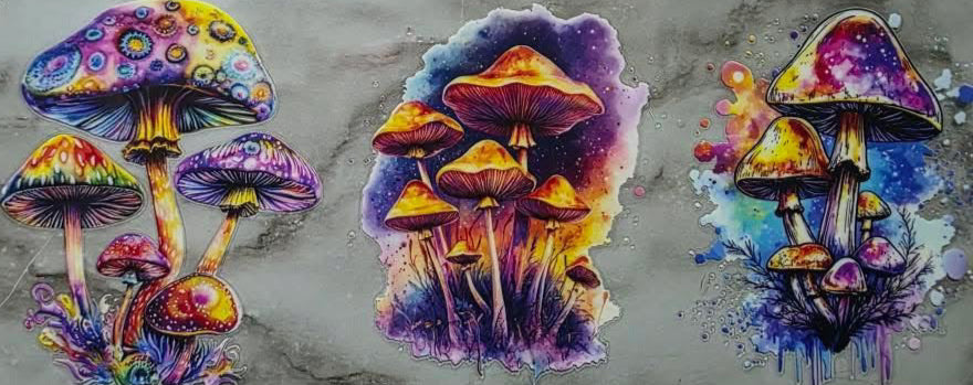 Trippy Mushroom Wraps